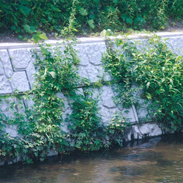 水路・スラブ