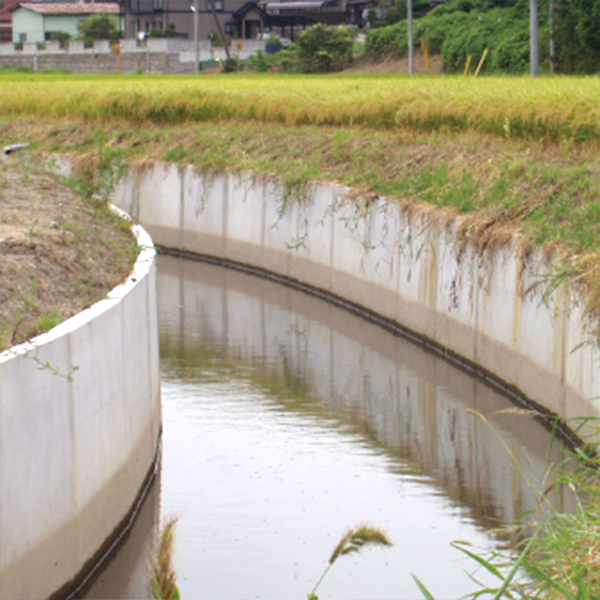 道路